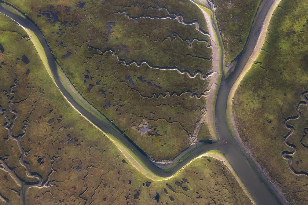 240526_Central_Coast_1543_web.jpg