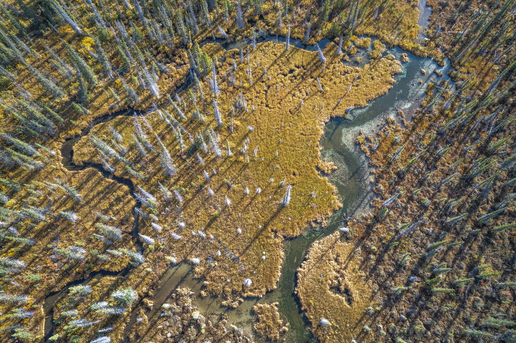 20240928_Canadian_Rockies_DJI_0198_web.jpg