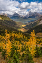 Guardians of the valley