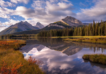 Fall Splendor