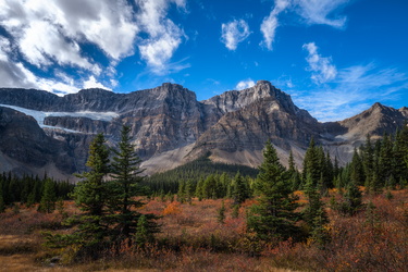 Crowfoot Meadow