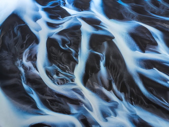 The Garden of Earthly Delights