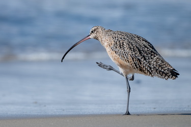 You ain't nothing but a stork