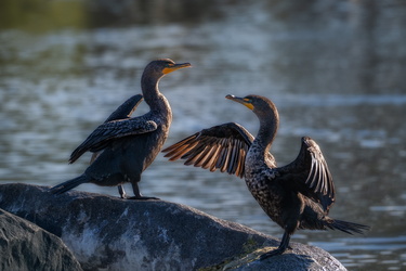 Are you talking to me?