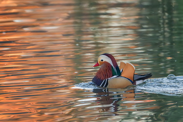 Mandarin telenovela #3