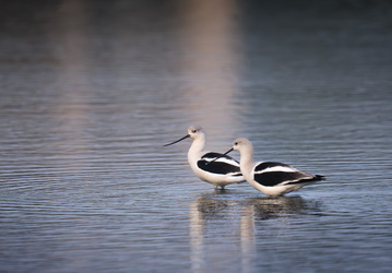 The calm before the storm