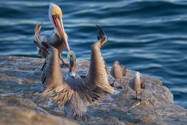 Your money or your life!