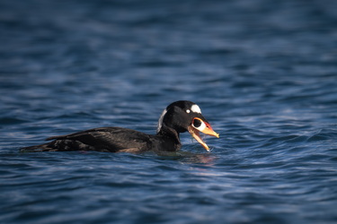 Is my right side prettier?