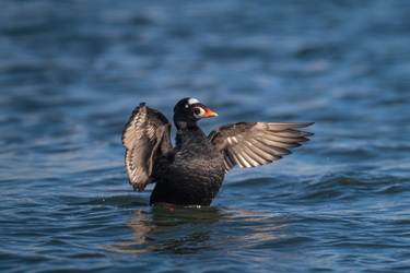 Nah, it's my front side