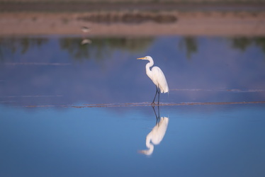 You're looking at me