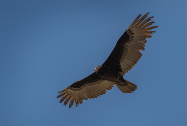 The cleanup crew is in the air