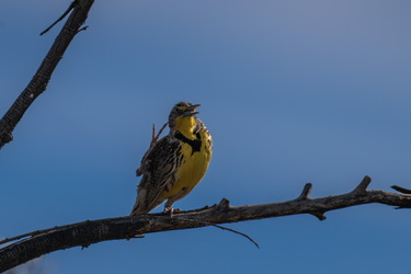 Follow along with me