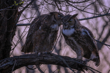 Mr. and Mrs. Smith #2