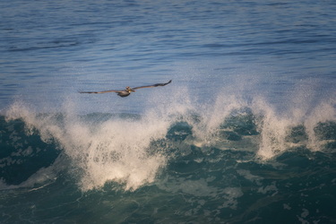 King Tides 2