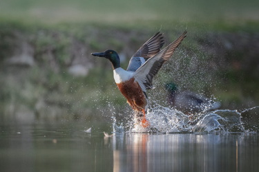 Takeoff